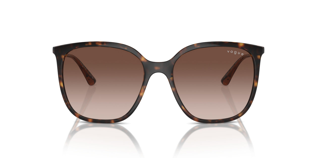 W65613 - Brown - Brown Gradient