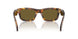 14L09Z - Tortoise - Dark Brown