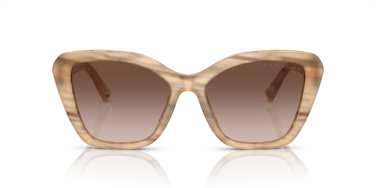 610613 - Brown - Gradient Brown