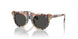 377887 - Brown - Dark Grey