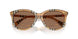 416373 - Brown - Dark Brown