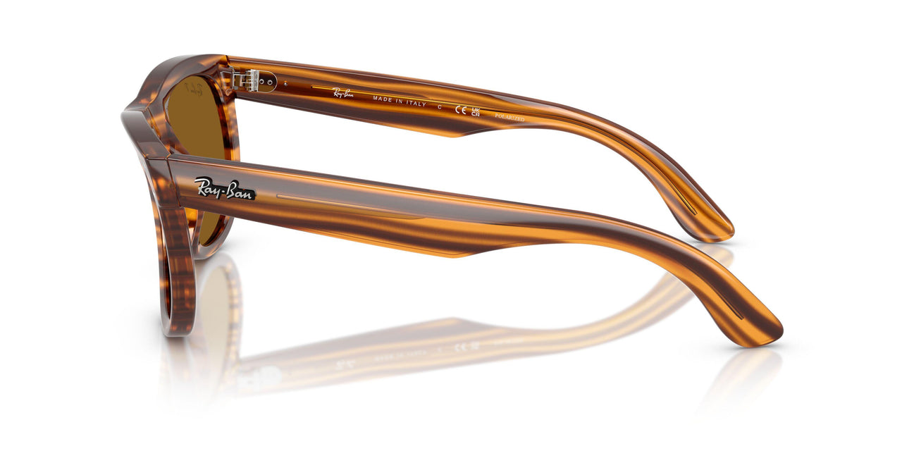 679183 - Brown - Polar Dark Brown
