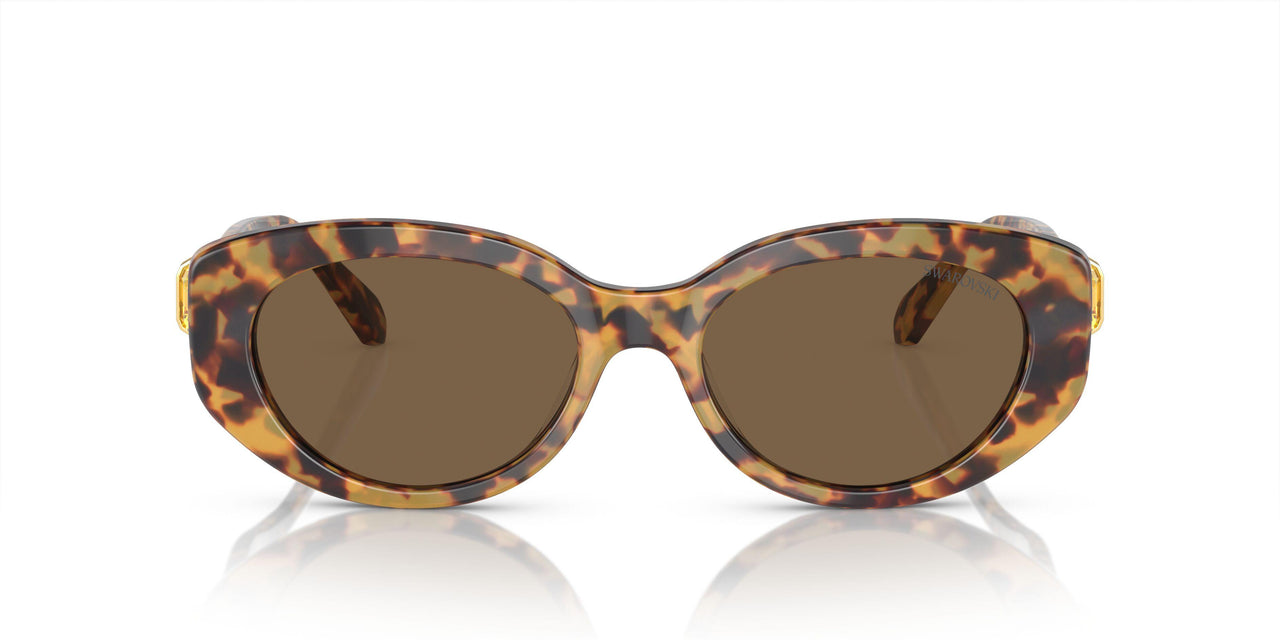 104073 - Tortoise - Dark Brown