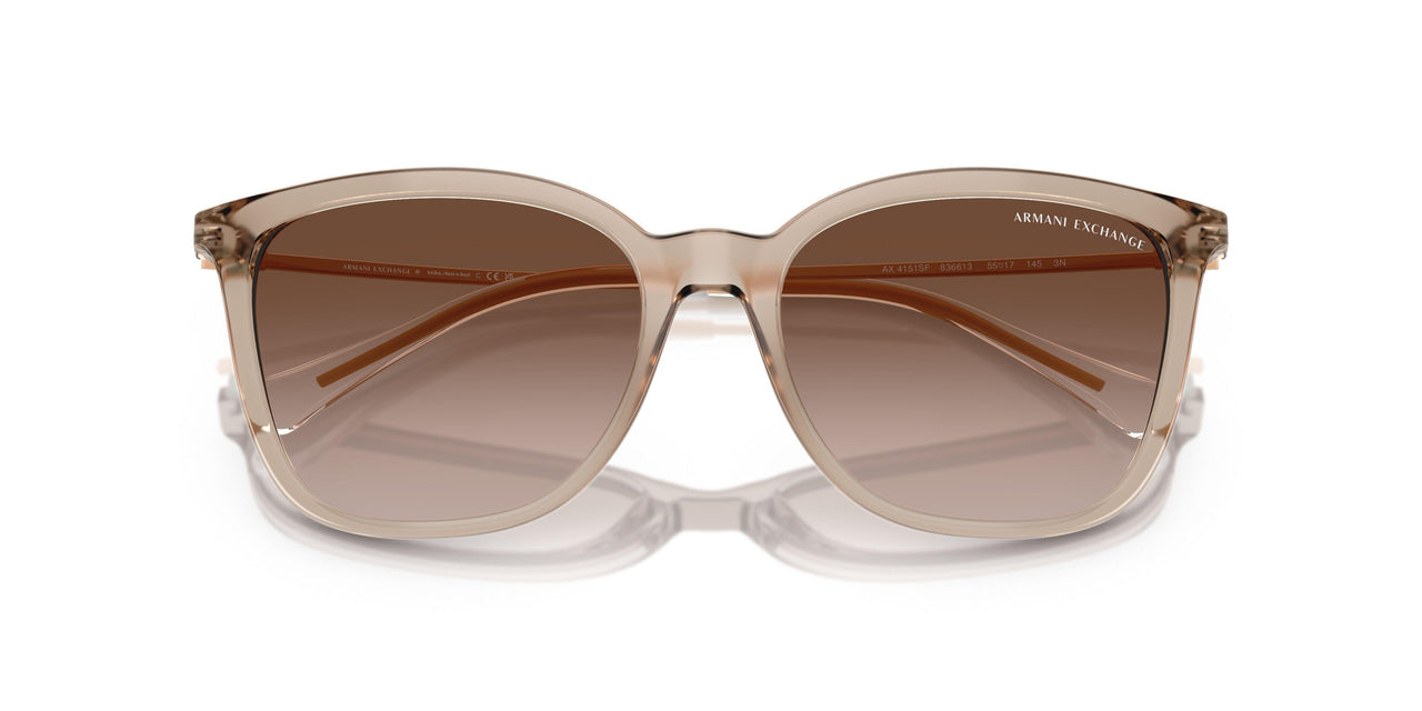 836613 - Brown - Gradient Brown