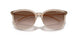 836613 - Brown - Gradient Brown