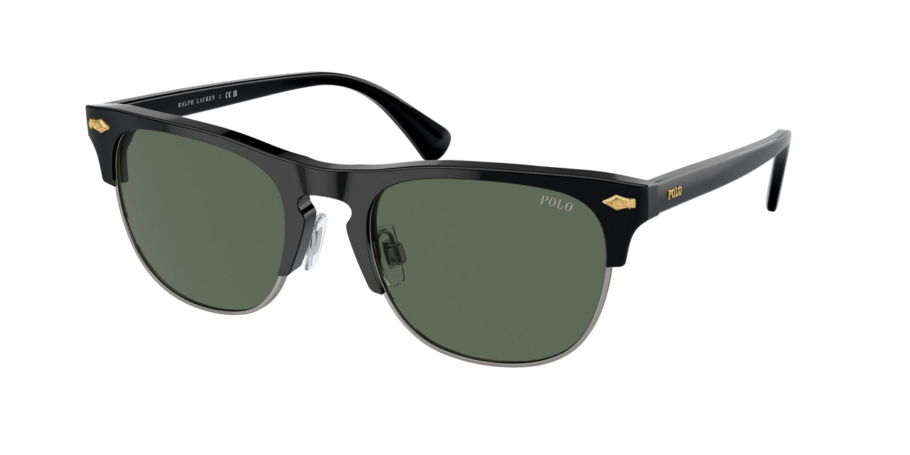 Polo 4213 Sunglasses