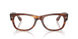 2144 - Brown - Clear