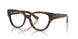 3002 - Brown