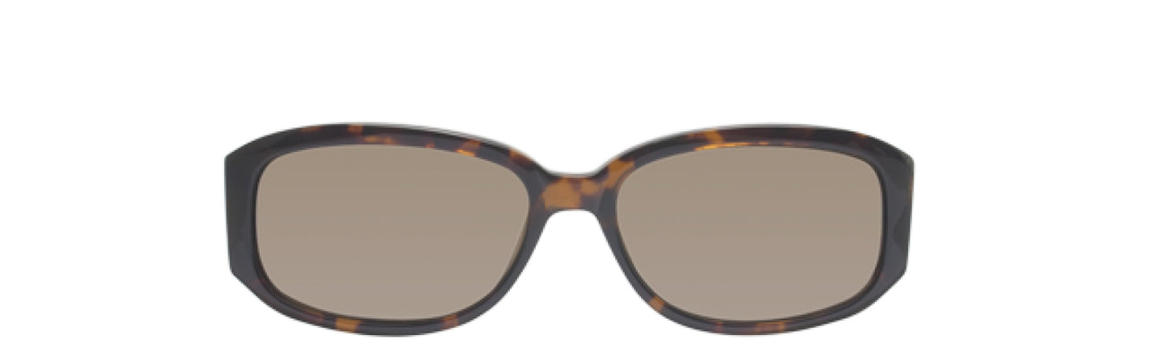55B - Tortoise