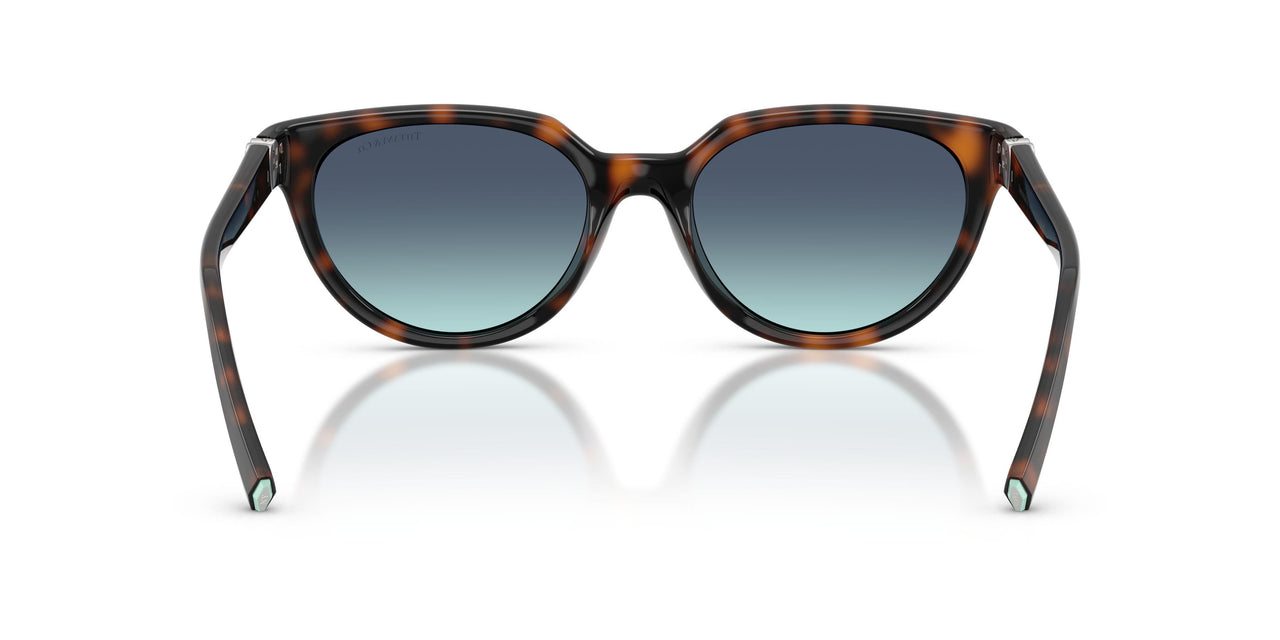 80159S - Tortoise - Azure Gradient Blue