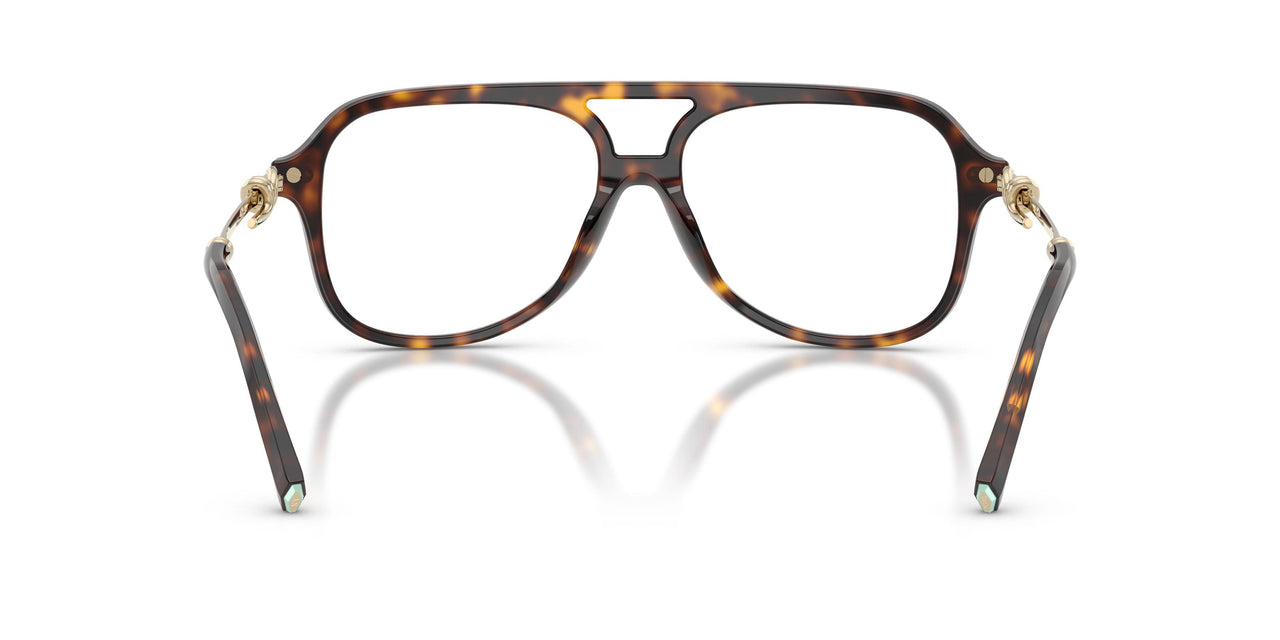 8015 - Tortoise