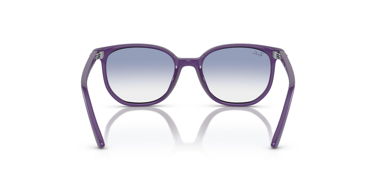 713119 - Violet - Blue