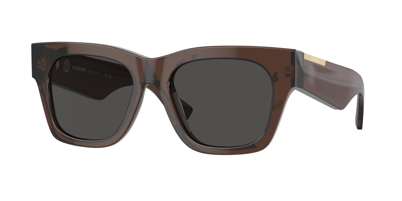 411687 - Brown - Dark Grey