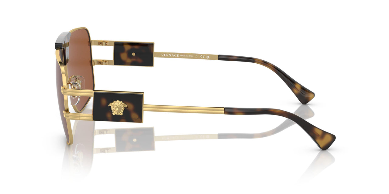 147073 - Gold - Dark Brown