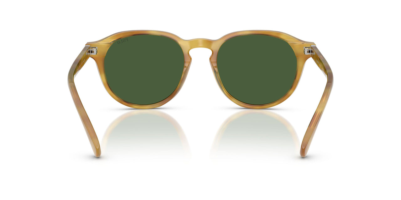 618571 - Tortoise - Bottle Green