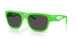 301387 - Green - Dark Grey