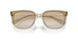 300311 - Brown - Gradient Light Grey