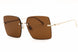 Salvatore Ferragamo SF311S Sunglasses