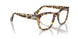 1056GI - Tortoise - Transitions 8 Brown