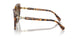 1004T5 - Tortoise - Brown Gradient