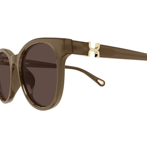 004 - Brown - Brown