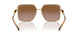 100213 - Brown - Brown Gradient