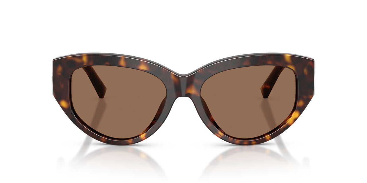 502/73 - Tortoise - Dark Brown