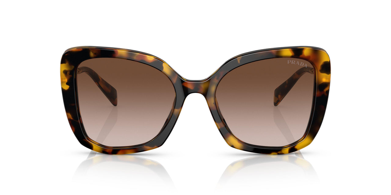 VAU6S1 - Havana - Brown Gradient