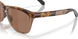 950302 - Brown - Prizm Tungsten Polarized