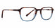 TBL - Tortoise/Blue
