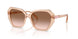 106313 - Brown - Gradient Brown