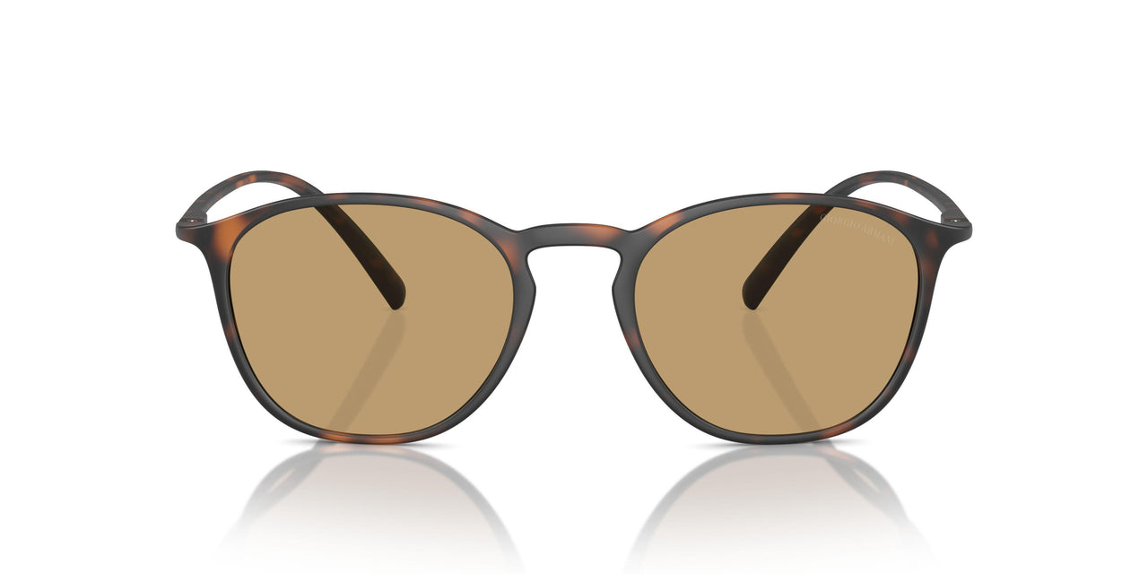 508973 - Tortoise - Dark Brown