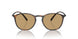 508973 - Tortoise - Dark Brown