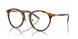5134BF - Tortoise - Clear/blue