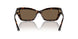 500273 - Tortoise - Dark Brown