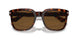 24/57 - Tortoise - Brown Polar