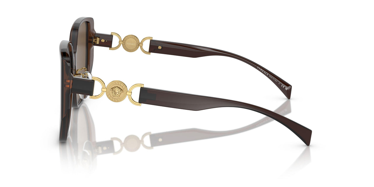 541673 - Brown - Dark Brown
