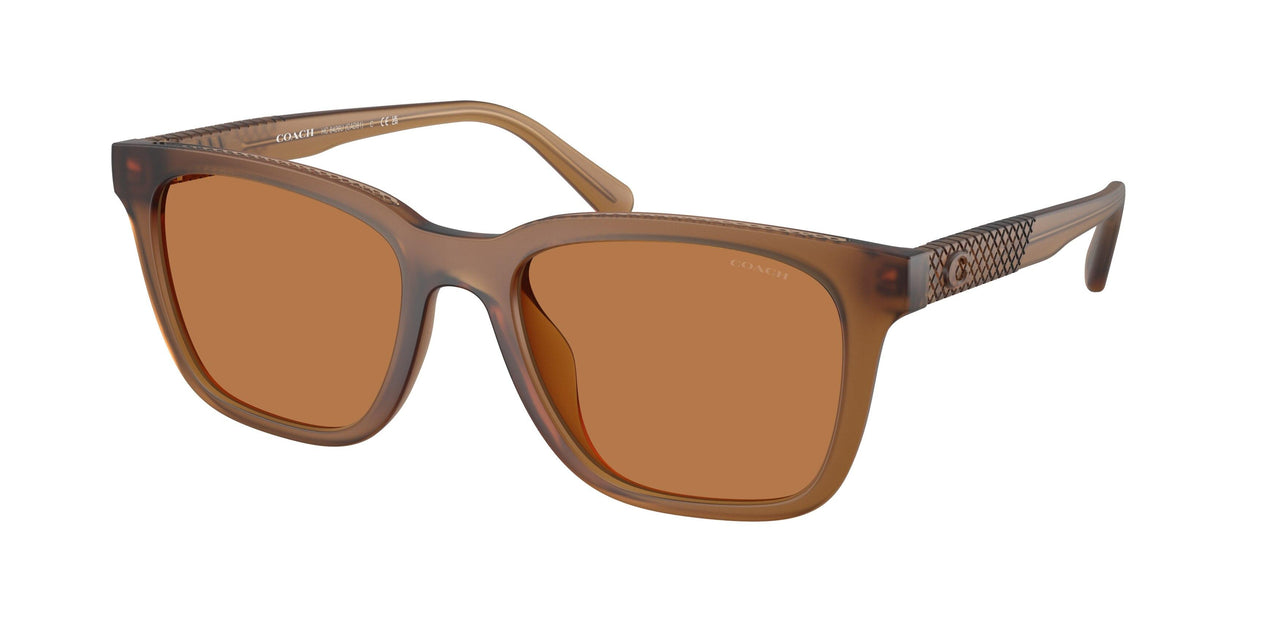Coach Cad81 8426U Sunglasses