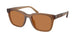 Coach Cad81 8426U Sunglasses