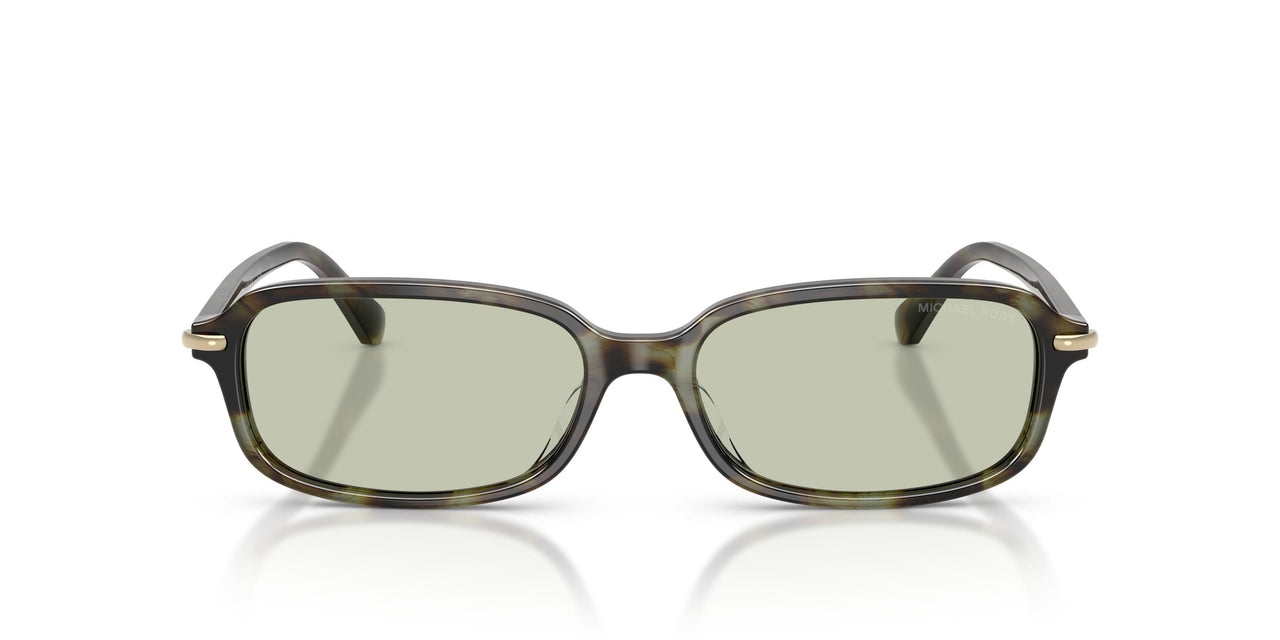 3947/2 - Tortoise - Green