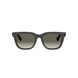01F - Acetate Shiny Black - Brown Gradient