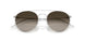 304513 - Silver - Gradient Brown