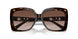 300613 - Tortoise - Brown Gradient