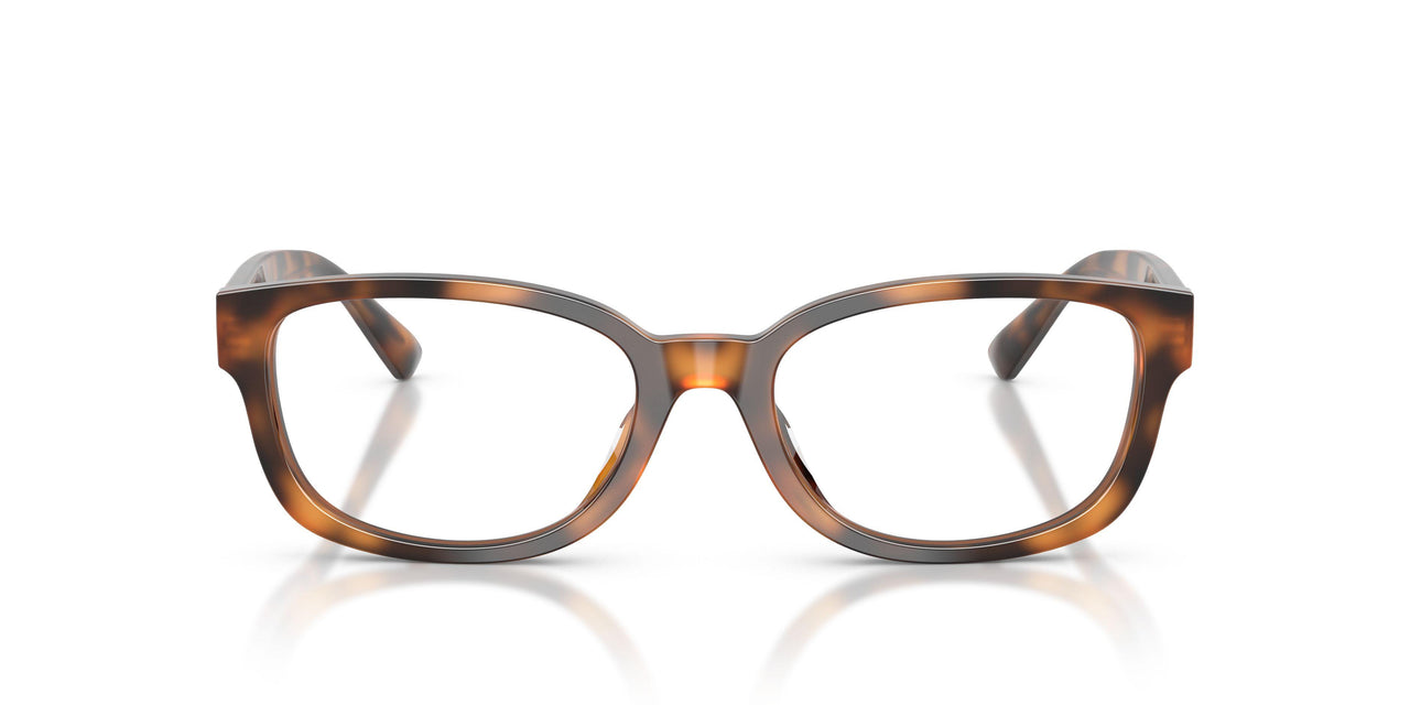 6089 - Tortoise