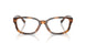 6089 - Tortoise