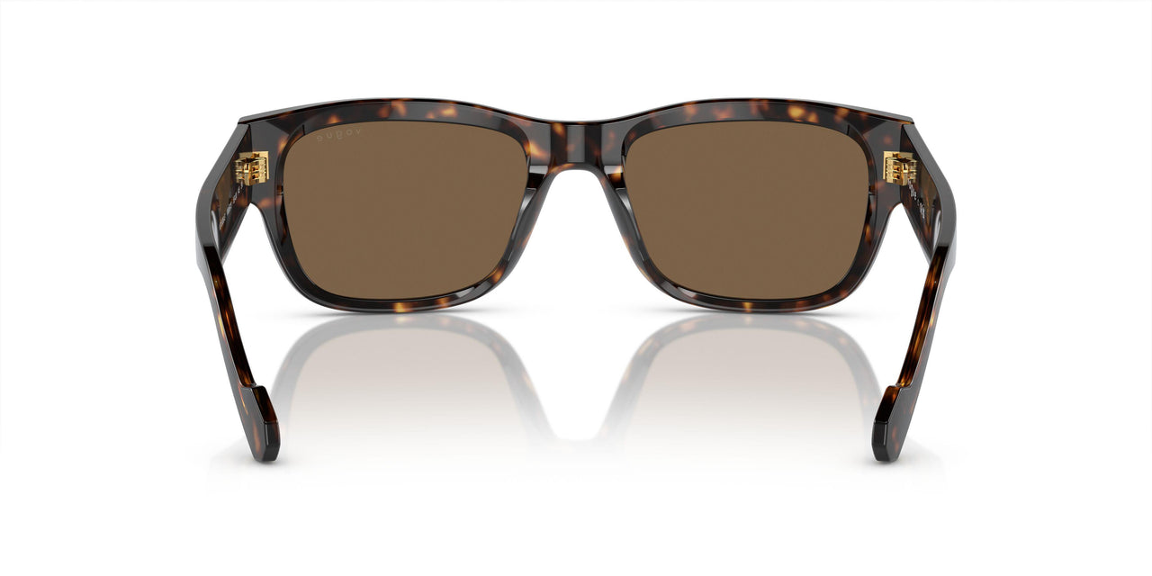 W65673 - Brown - Dark Brown