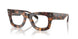 3904 - Tortoise