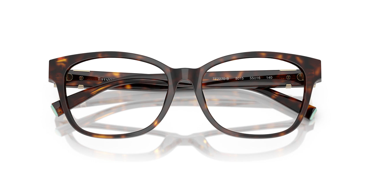 8015 - Tortoise
