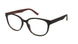 Polinelli P202 Readers