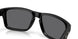 950901 - Black - Prizm Black Polarized